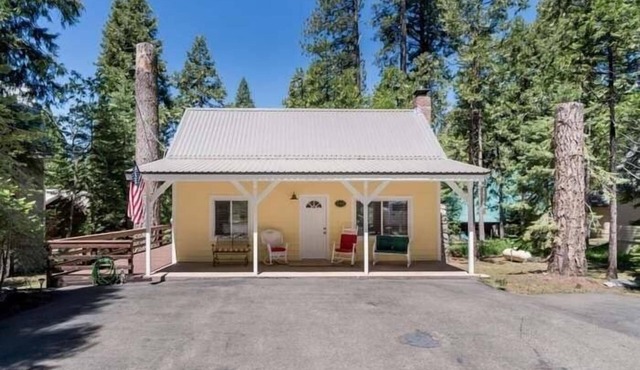 East Village Shaver Lake Cabin - Mellow Yellow