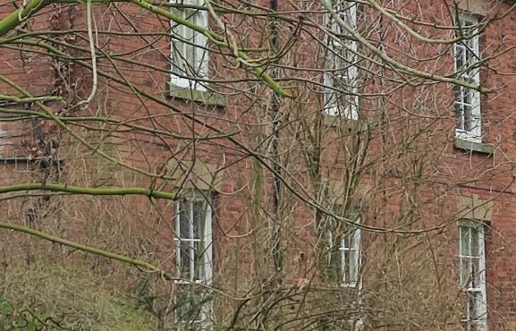 East Wing at Stoke Hall