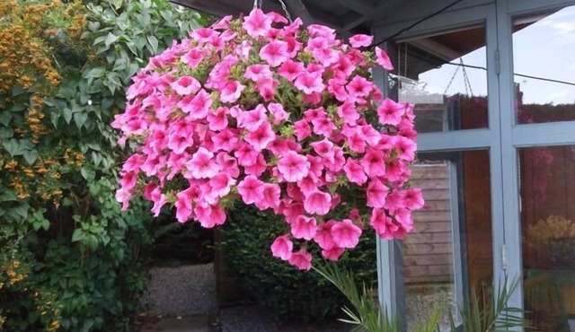 Eastdale Bed and Breakfast