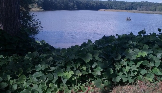 Eastern Shore Get Away