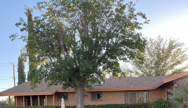 Eastwood area home 1 block away from Album Park