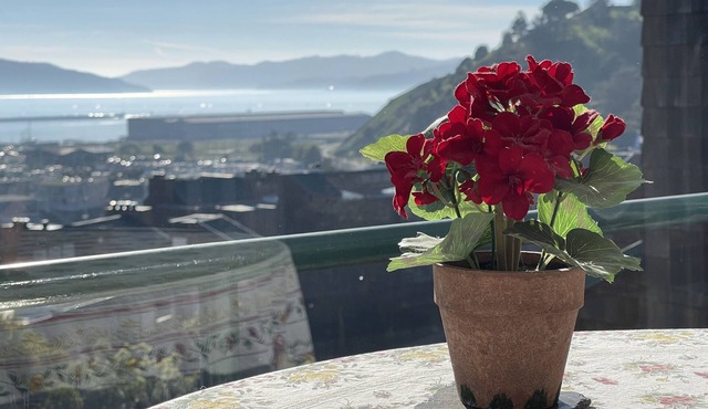 Easy access penthouse with dazzling nightlights & high ceilings.