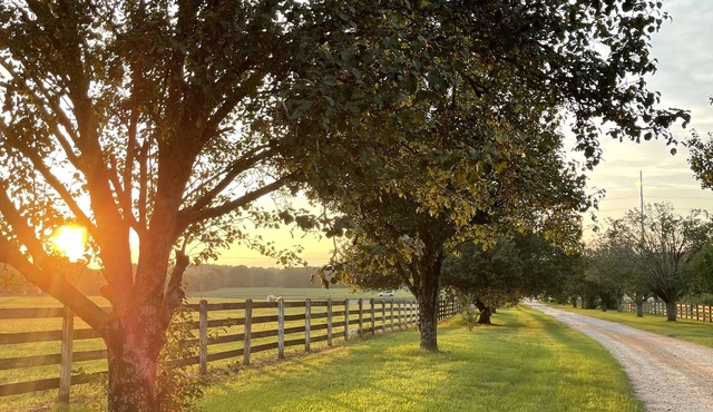 Easy drive to Covington square. Safe gated property.