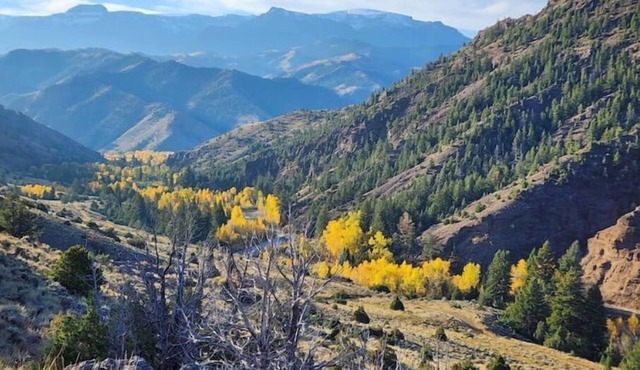 Easy Living ~ Easy Playing, just a 5 minute walk from down town Cody.