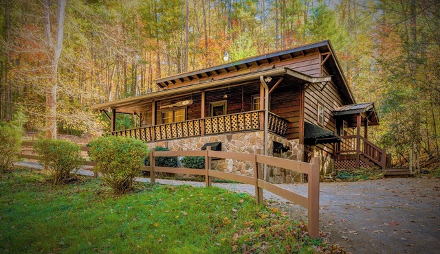 🌲Easy Paved Access🔥Fireplace❤️Great Privacy🏞️Across River🎇NearDowntown🙂