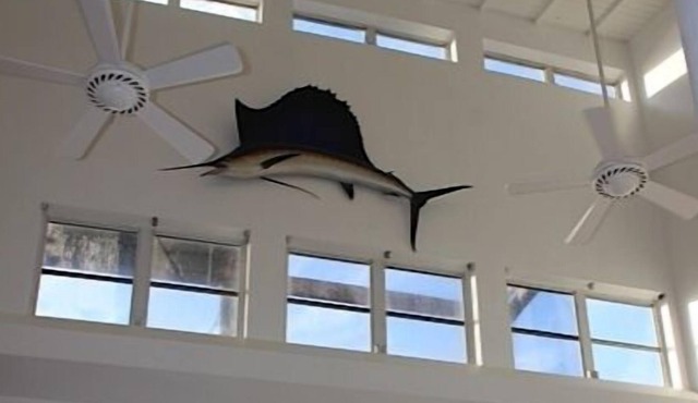 Easy Walk to Beautiful Beach, Sleep 10 In Beds, Watch the Sunset From Your Deck