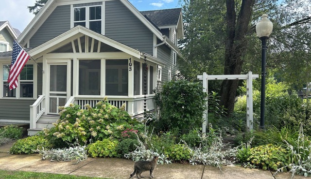 Easy Walk to Town and the Beach, But Feels Like You're Away From It All