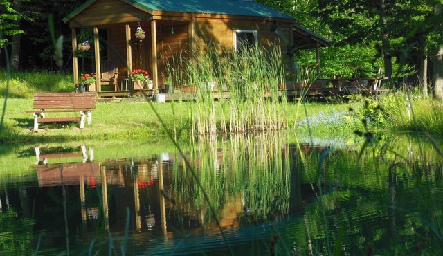 Ebb~n~Flow-Rustic-Solar Cabin-Heated-Hiking-Biking-Pond-Wildlife-Dark Skies-Pets