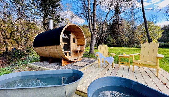 eBikes-Paddleboards-Sauna-Cold Plunge-HotTub-3m to Oquaga Creek SP-Arctic Lake!