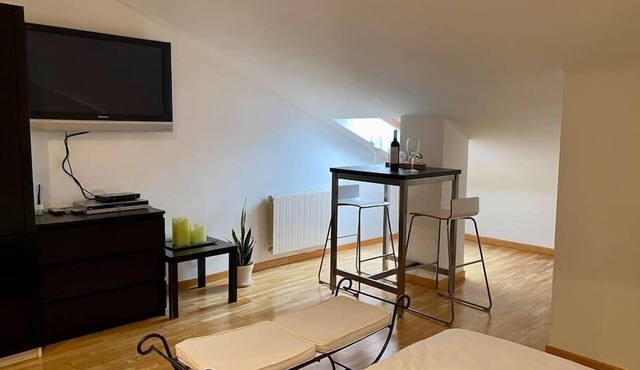 Ebro River Duplex Penthouse