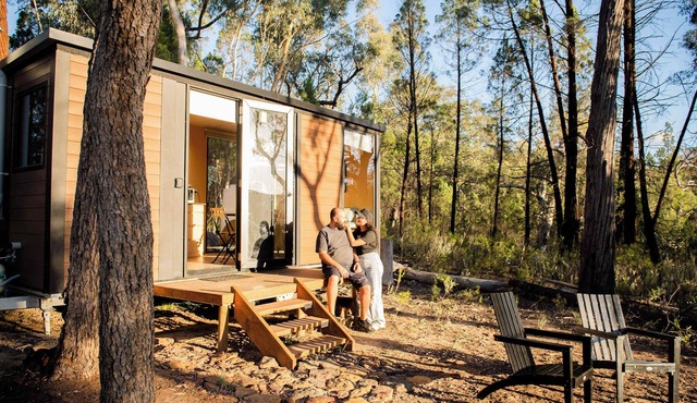 Echidna Ridge by Tiny Away