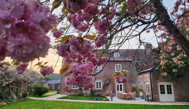 Eclectic Dorset Country House, Hot Tub, Pool Table, Movie Room,12 guests & pets