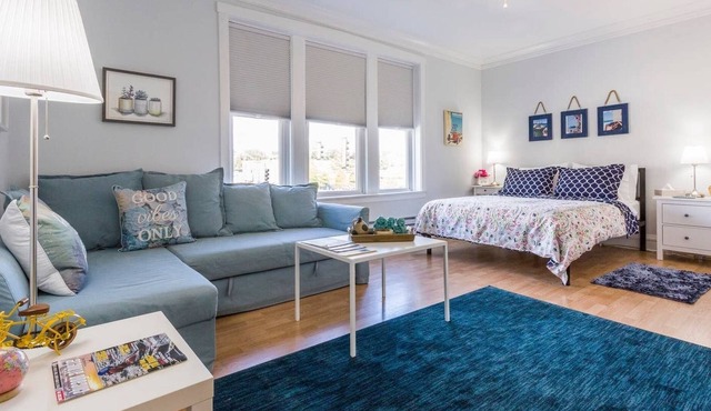 Eclectic Vibe - Oak Park/Forest Park, Pets OK