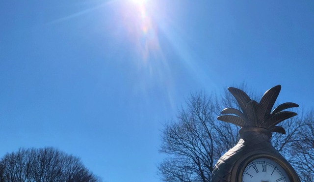 Eclipse Glamping Here! 3 Bedroom. 2 Full Bath. Kids. Pets. Clean, Safe, Fun!