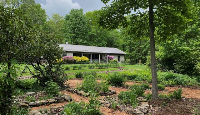 Eco-Conscious Flower & Herb Farm Retreat