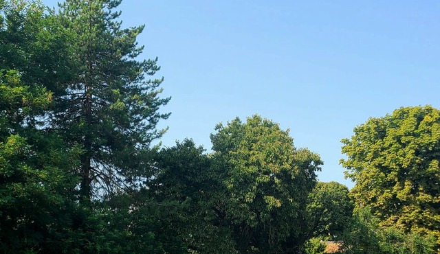 Eco-cottage with bird sanctuary in Anjou