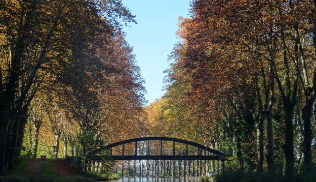 Eco cottage "In the Garden" at the edge of the side channel of the Garonne and the greenway