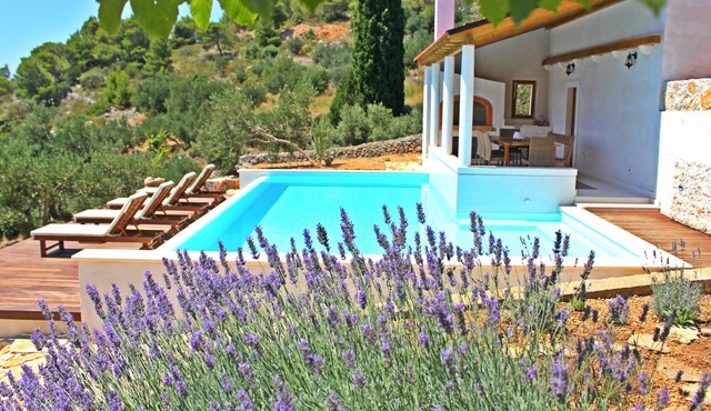 Eco-friendly amazing sea view villa with pool, playground, U-pick garden.
