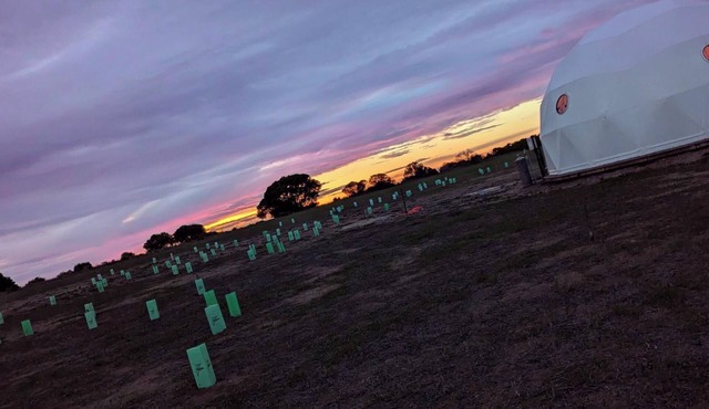 Eco-Friendly Glamping Dome on 30 Acres of Absolute Beachfront