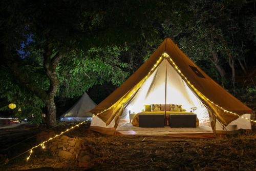 Eco- Friendly Glamping Retreat