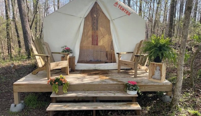Eco-Friendly Glamping Tent