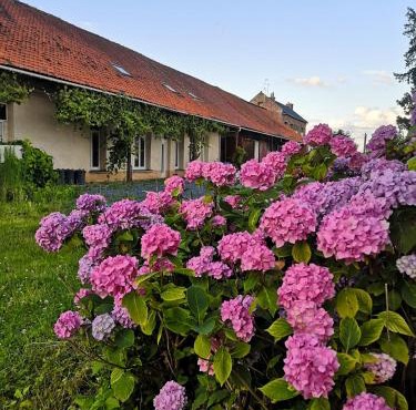 Eco-Gîte de L'Etang Présent