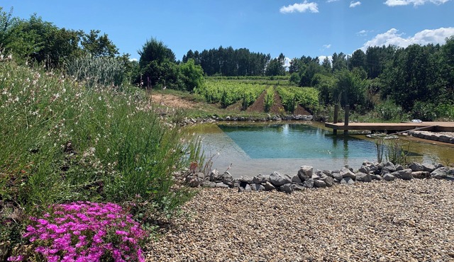 ECO GITE 3 stars 2/3pers AU COEUR DES VIGNES