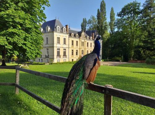 Eco Hôtel du Domaine de Ouézy