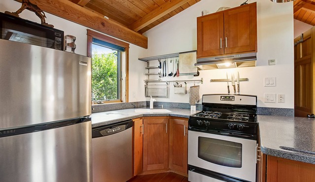 Eco home & studio with swim spa, Olympic views, home gym, & play structure