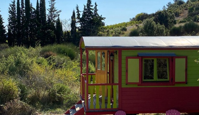 Eco Lodge/Tiny House Ferrairolles/Rolinka