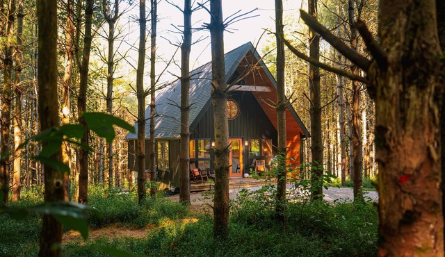 Eco-Luxe Micro Resort : 3 Cabins on 32 Acres of Forest : Private Trails
