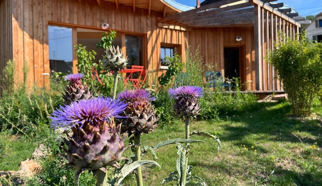 Ecogîte "Au blé Dormant"