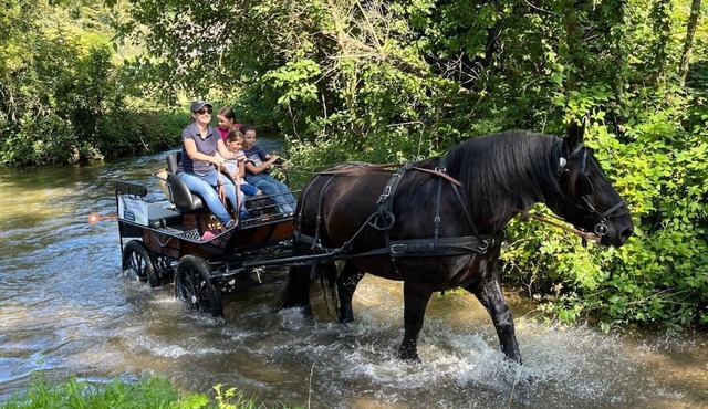 Ecogite for 11 people with Nordic bath, 15min from Etretat, pets welcome