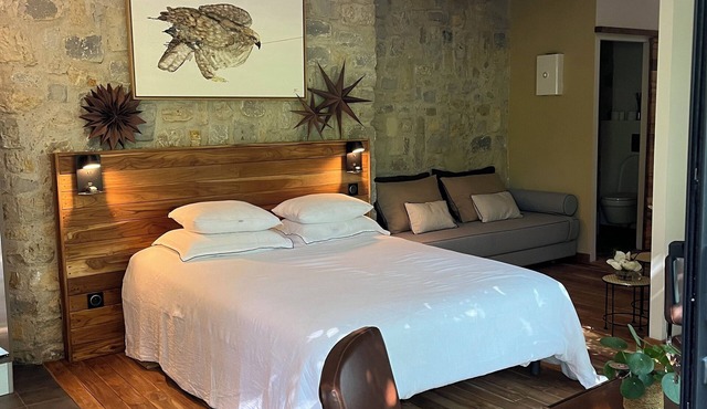 ECOLODGE & private SPA, park pool! In the heart of nature 7 kms south of Nîmes