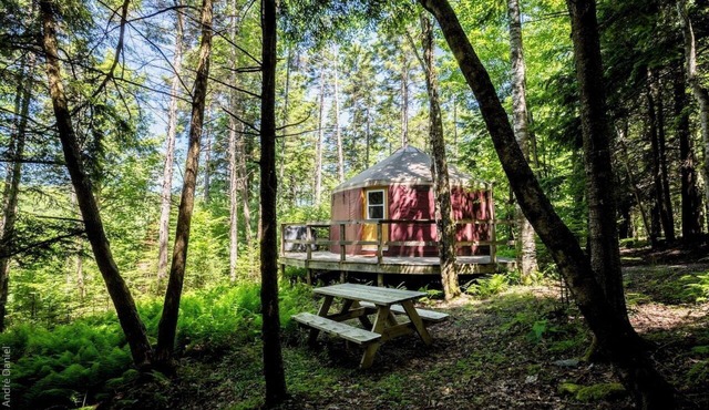 Ecological, intimate and immersive yurt: Le Lièvre