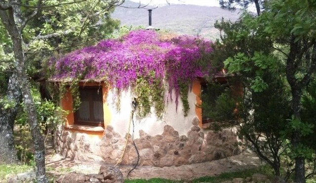 Ecological and sustainable tourism in the middle of nature. dog-friendly. AT-CC-00125