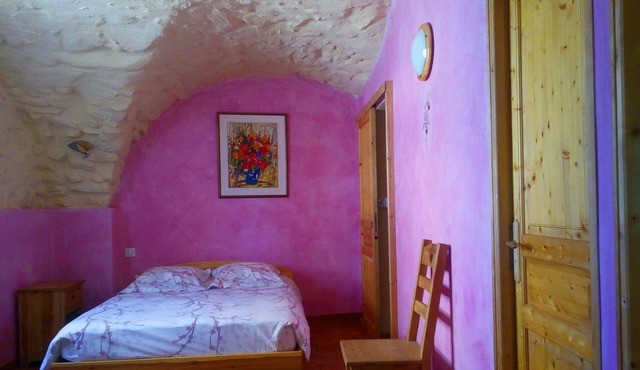 Ecological guest house Tallard- Gap-Serre Ponçon: Ophrys