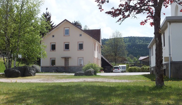 Ecologically renovated family friendly apartment in old house with charm