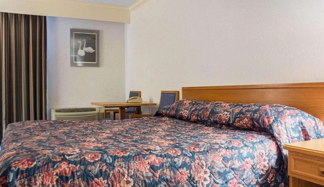 Econo Lodge By the Falls