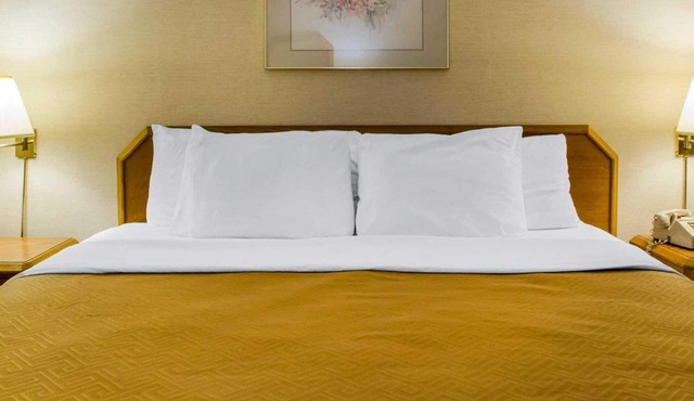 Econo Lodge Mifflintown