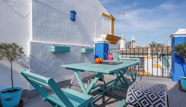 Economic study and cozy shared terrace - CENTRO -