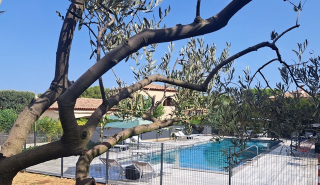 Ecrin de verdure sea & pool 45m² (45m²)