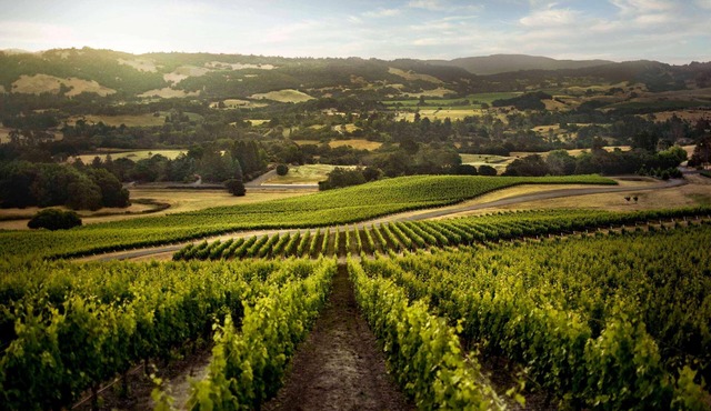 Eden 3 Home Estate - Hot Tub and Tastings Included