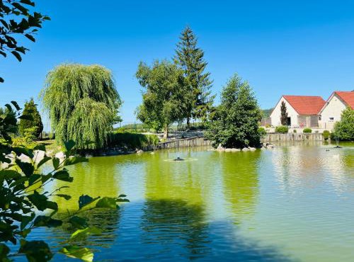 Eden aux hirondelles