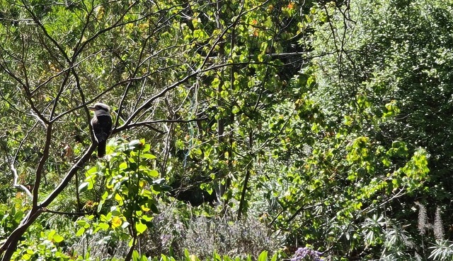 Eden Cottage - Does not OPERATE ANYMORE