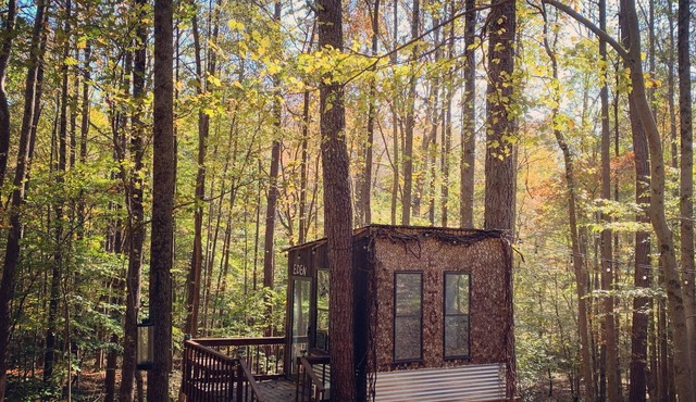Eden Treehouse at New Tiny-Living Eco-Farm