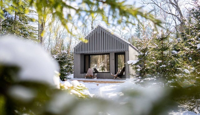 Edge of Stillness at Dimensions | Cabin Seventeen