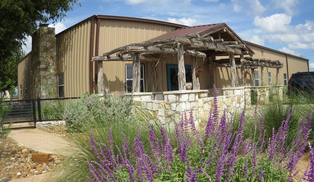 Edge of the Wild Horse Desert Lodge