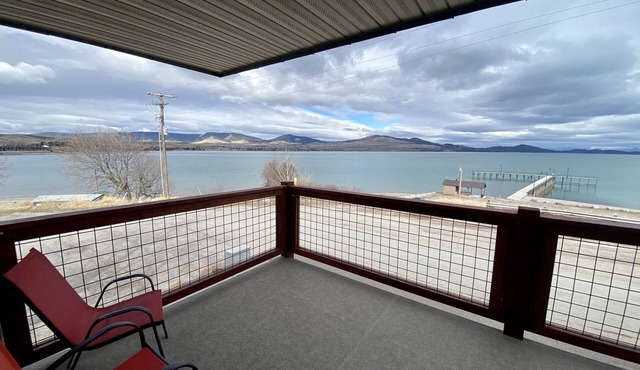 Edgewater #5 Grizzly