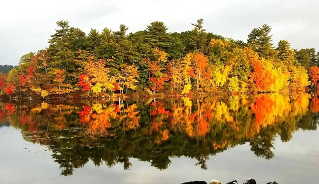 Edgewater Retreat on Little Sebago Lake - Lakefront w/Sauna & EV Chargernn